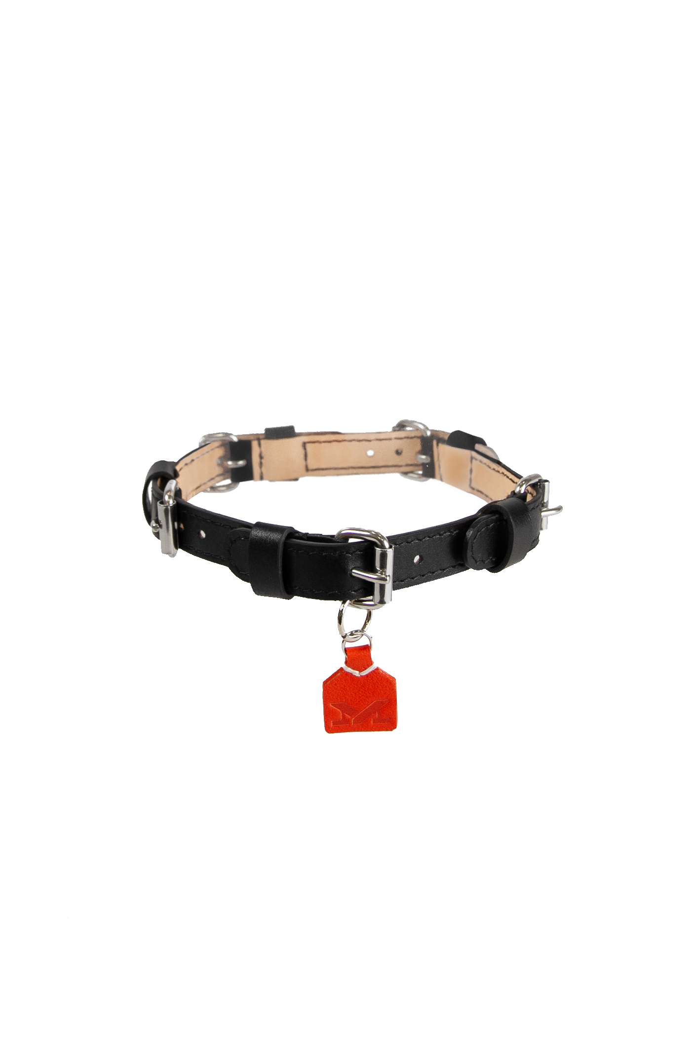 Buckles Choker